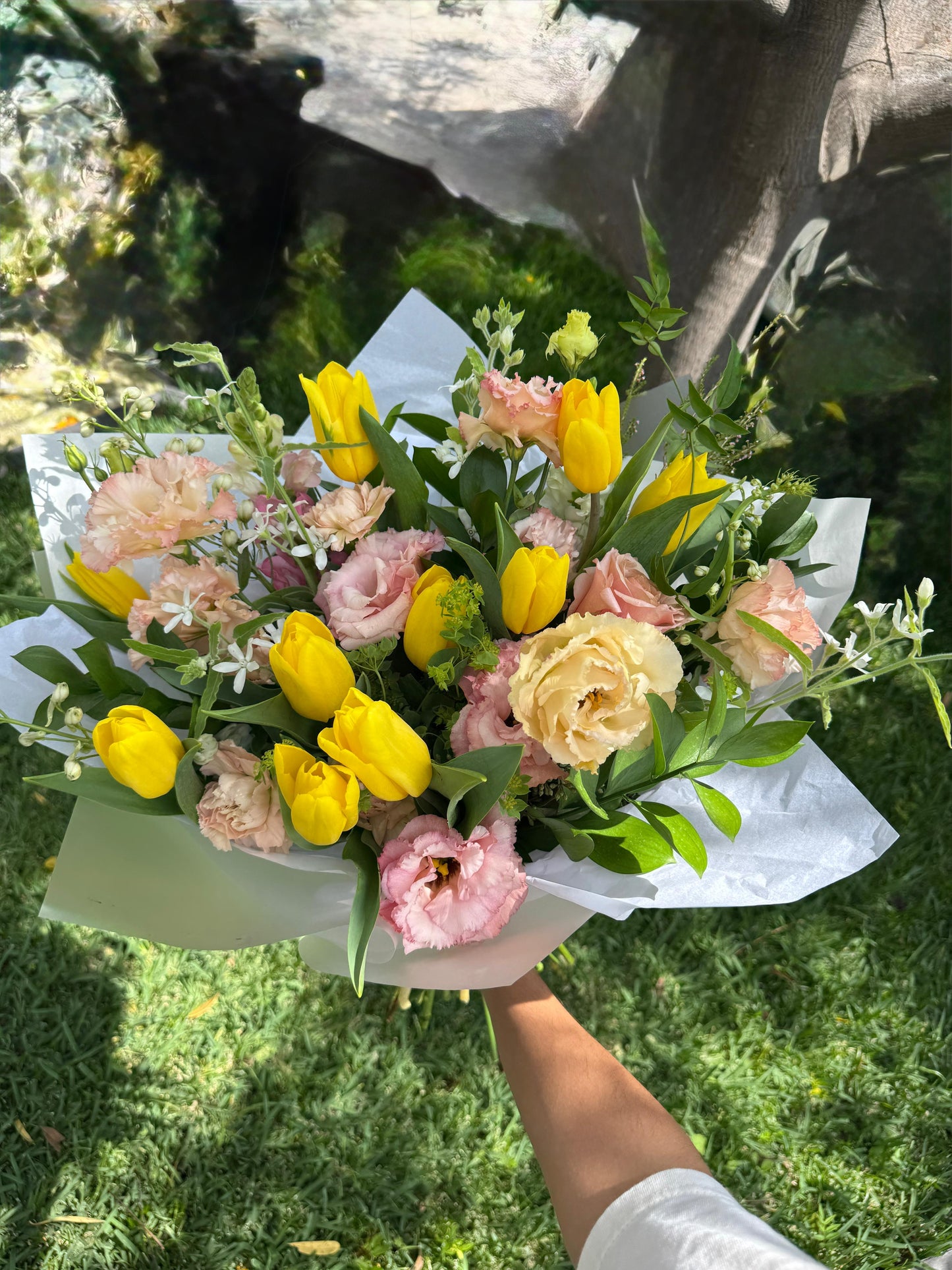 Tulipanes